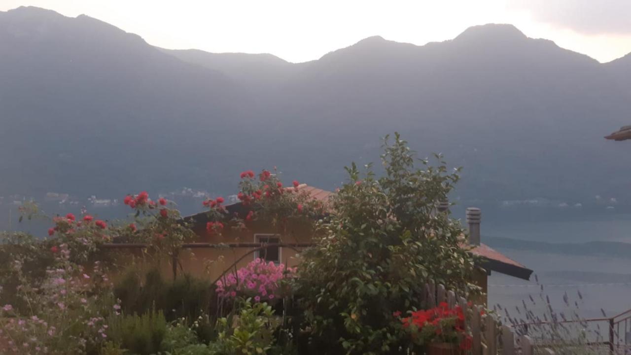 Reginaldo'S Home Nesso Εξωτερικό φωτογραφία